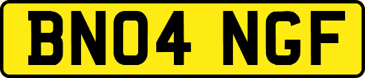 BN04NGF