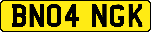 BN04NGK