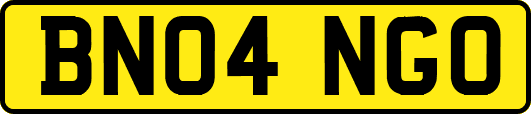 BN04NGO