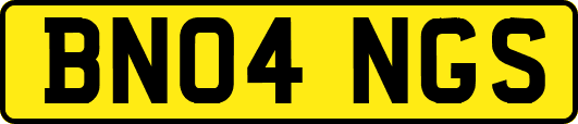 BN04NGS