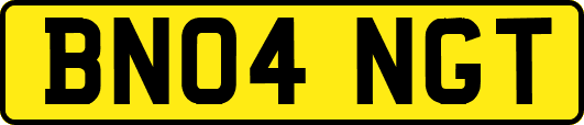 BN04NGT