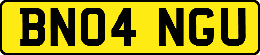 BN04NGU