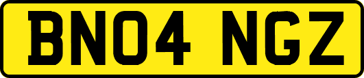 BN04NGZ