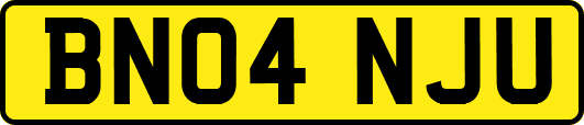 BN04NJU