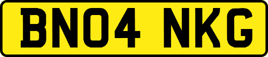 BN04NKG