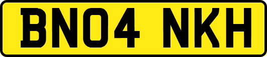 BN04NKH