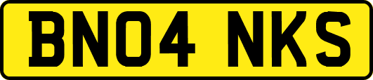 BN04NKS