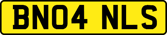 BN04NLS