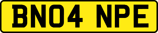 BN04NPE
