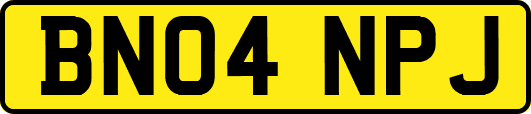 BN04NPJ