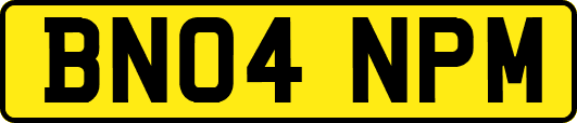 BN04NPM