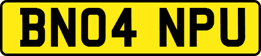 BN04NPU