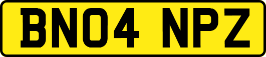 BN04NPZ