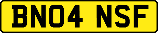 BN04NSF