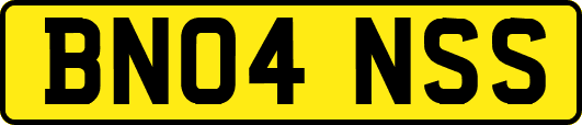BN04NSS