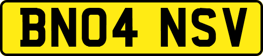 BN04NSV