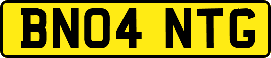 BN04NTG