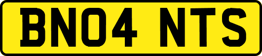 BN04NTS