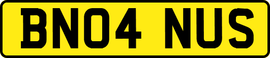 BN04NUS