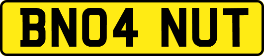 BN04NUT