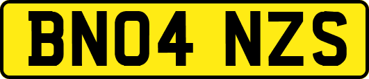 BN04NZS