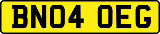 BN04OEG