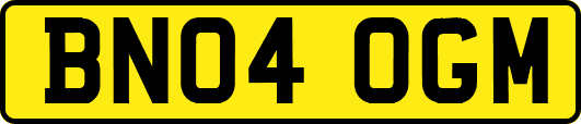 BN04OGM