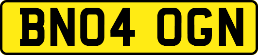 BN04OGN