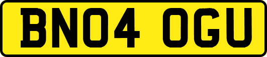 BN04OGU