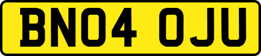 BN04OJU