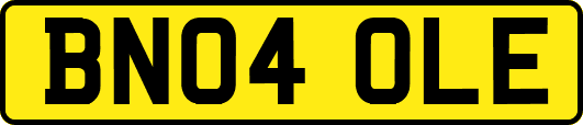 BN04OLE