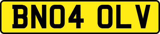 BN04OLV