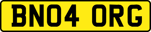 BN04ORG