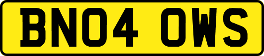 BN04OWS