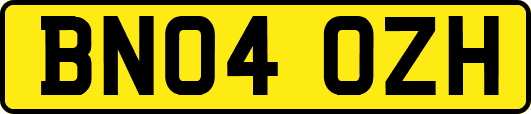 BN04OZH