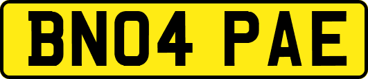 BN04PAE