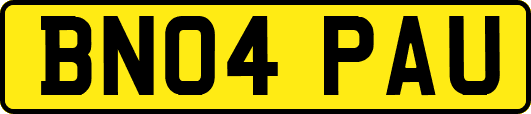 BN04PAU