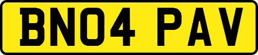 BN04PAV