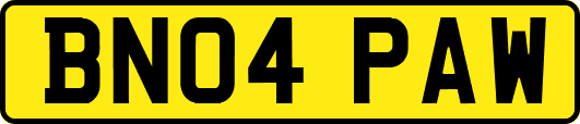 BN04PAW
