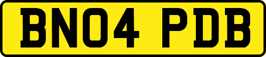 BN04PDB