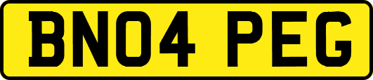BN04PEG