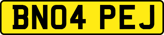 BN04PEJ