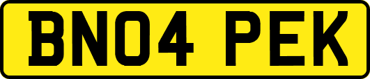 BN04PEK