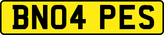 BN04PES