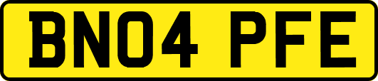 BN04PFE