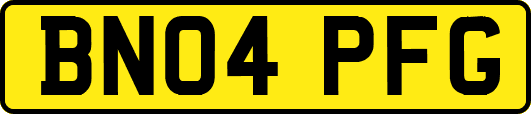 BN04PFG