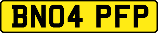 BN04PFP