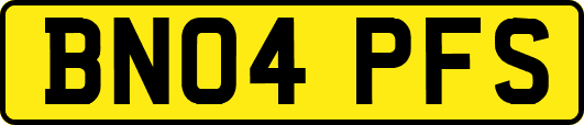 BN04PFS