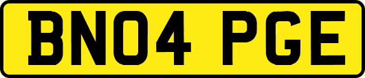 BN04PGE