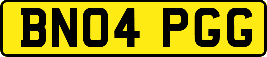 BN04PGG